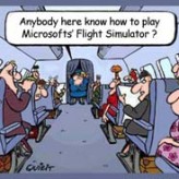 Flight Simulator – valuable traning aid ?