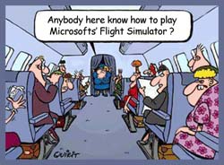 Flight Simulator – valuable traning aid ?